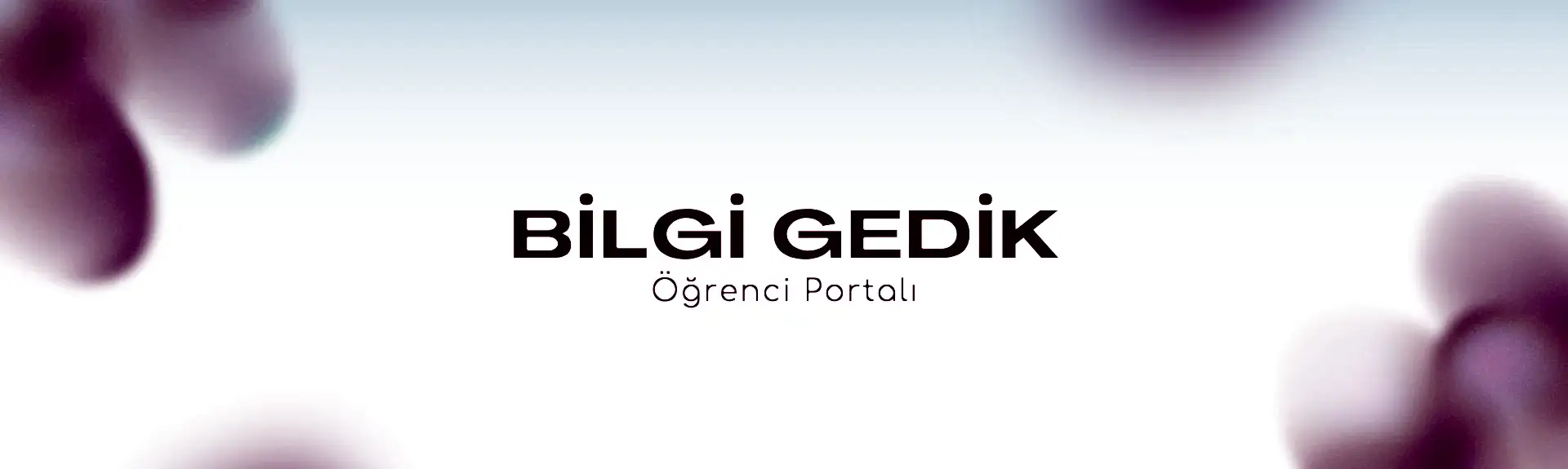 Bilgi Gedik